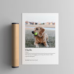 Custom dog name definition print with tube